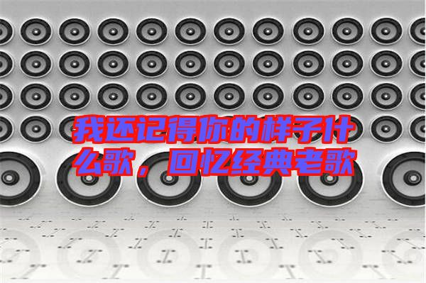 我還記得你的樣子什么歌，回憶經(jīng)典老歌