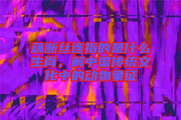 藕斷絲連指的是什么生肖，解中國(guó)傳統(tǒng)文化中的動(dòng)物象征