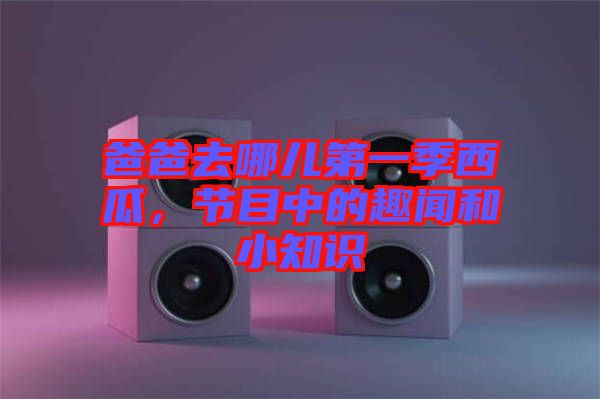 爸爸去哪兒第一季西瓜，節(jié)目中的趣聞和小知識(shí)