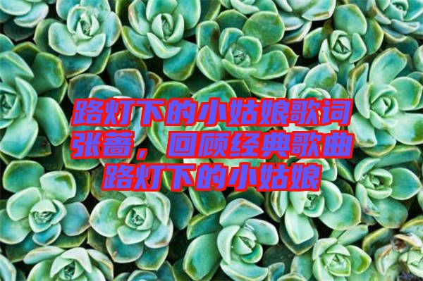 路燈下的小姑娘歌詞張薔，回顧經(jīng)典歌曲路燈下的小姑娘