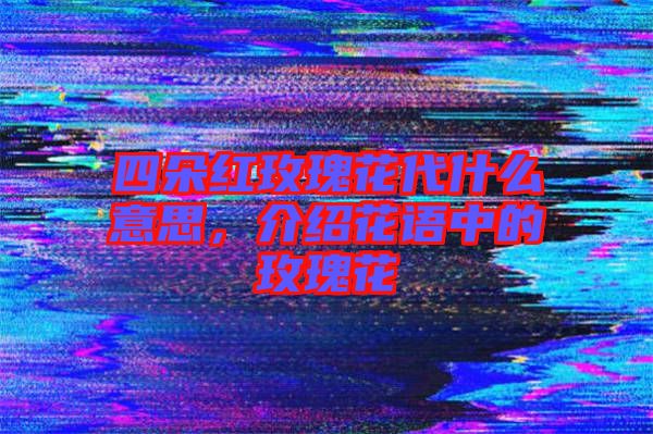 四朵紅玫瑰花代什么意思，介紹花語中的玫瑰花