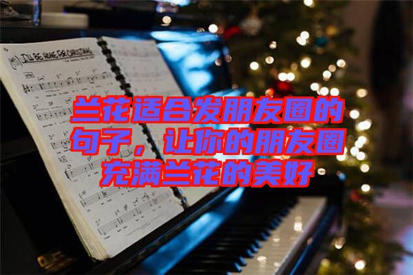 蘭花適合發(fā)朋友圈的句子，讓你的朋友圈充滿(mǎn)蘭花的美好