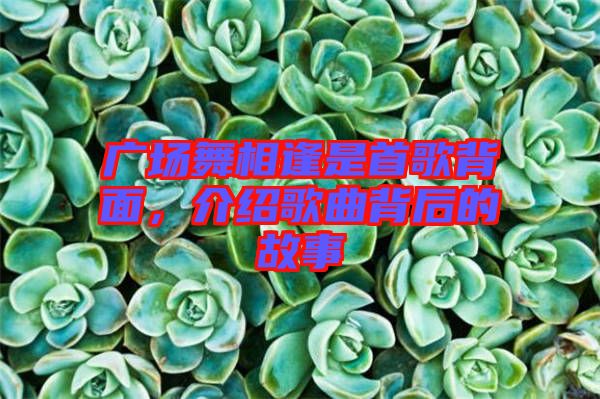 廣場舞相逢是首歌背面，介紹歌曲背后的故事