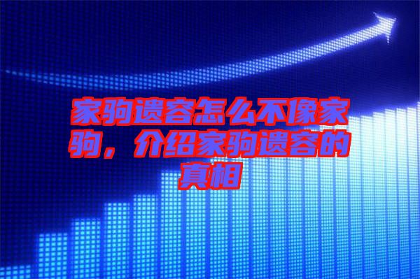 家駒遺容怎么不像家駒，介紹家駒遺容的真相