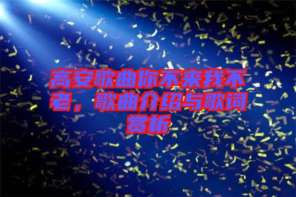 高安歌曲你不來(lái)我不老，歌曲介紹與歌詞賞析