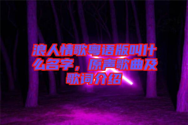 浪人情歌粵語版叫什么名字，原聲歌曲及歌詞介紹