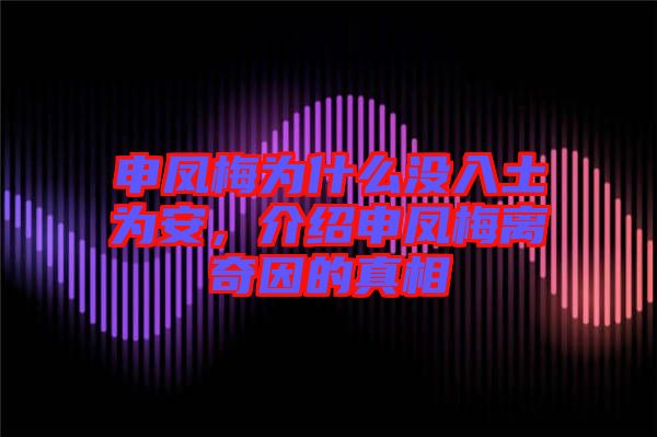 申鳳梅為什么沒入土為安，介紹申鳳梅離奇因的真相