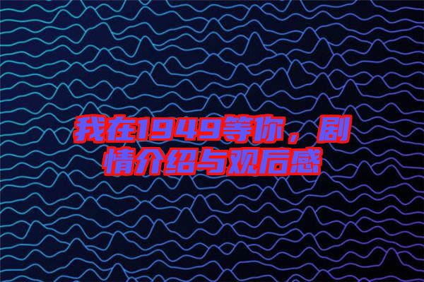 我在1949等你，劇情介紹與觀后感