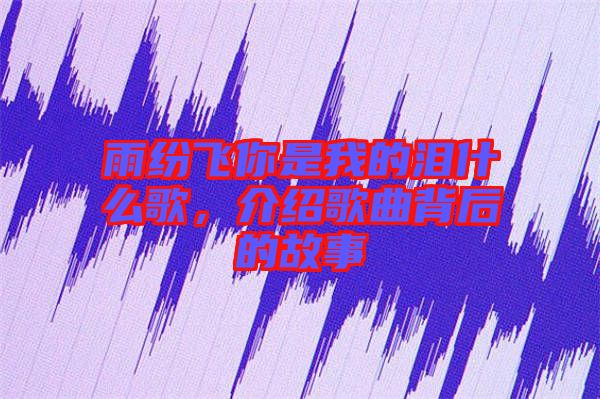 雨紛飛你是我的淚什么歌，介紹歌曲背后的故事