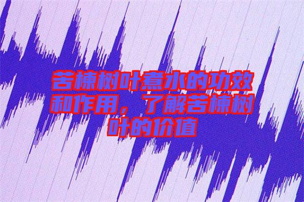 苦楝樹葉煮水的功效和作用，了解苦楝樹葉的價(jià)值