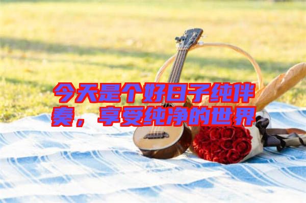 今天是個(gè)好日子純伴奏，享受純凈的世界