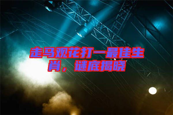 走馬觀花打一最佳生肖，謎底揭曉