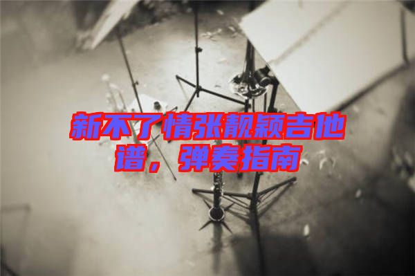 新不了情張靚穎吉他譜，彈奏指南