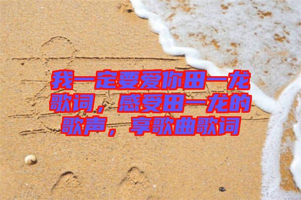 我一定要愛你田一龍歌詞，感受田一龍的歌聲，享歌曲歌詞