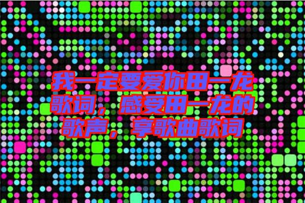 我一定要愛你田一龍歌詞，感受田一龍的歌聲，享歌曲歌詞