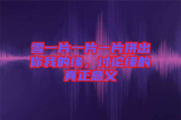 雪一片一片一片拼出你我的緣，討論緣的真正意義