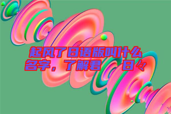 起風(fēng)了日語版叫什么名字，了解君といた日々
