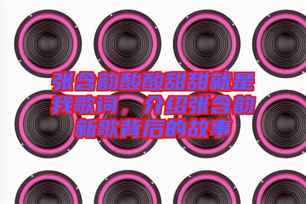 張含韻酸酸甜甜就是我歌詞，介紹張含韻新歌背后的故事