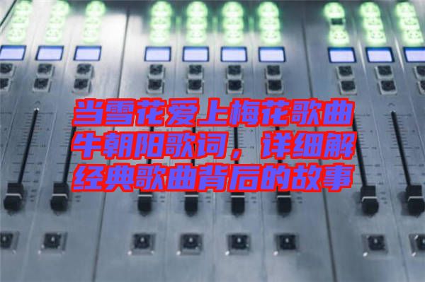 當(dāng)雪花愛上梅花歌曲牛朝陽歌詞，詳細(xì)解經(jīng)典歌曲背后的故事