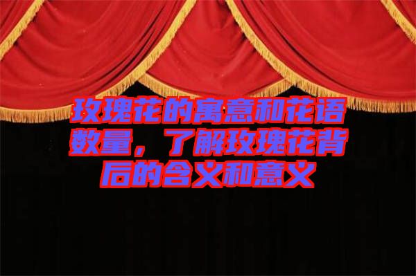 玫瑰花的寓意和花語(yǔ)數(shù)量，了解玫瑰花背后的含義和意義