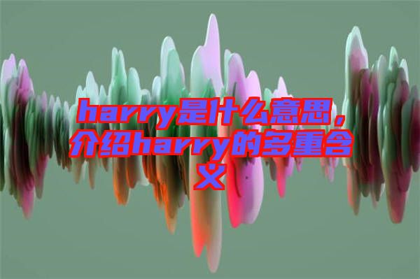 harry是什么意思，介紹harry的多重含義