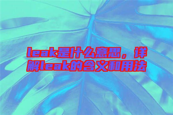 leak是什么意思，詳解leak的含義和用法