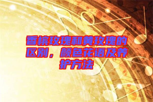 香檳玫瑰和黃玫瑰的區(qū)別，顏色花語及養(yǎng)護(hù)方法