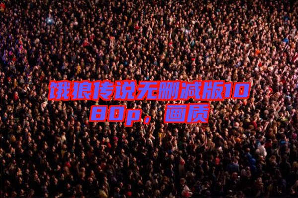 餓狼傳說無刪減版1080p，畫質(zhì)