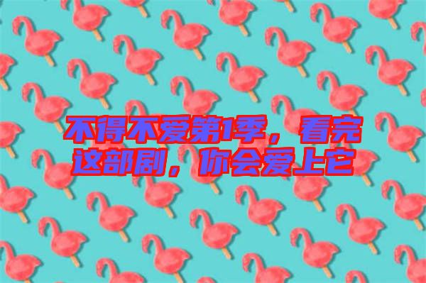 不得不愛第1季，看完這部劇，你會愛上它