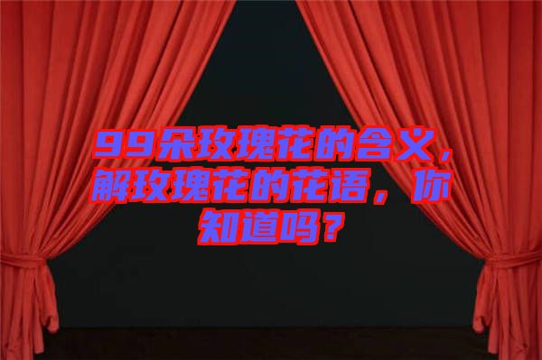 99朵玫瑰花的含義，解玫瑰花的花語，你知道嗎？