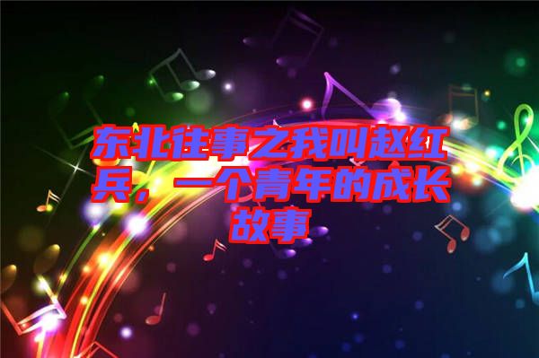 東北往事之我叫趙紅兵，一個(gè)青年的成長(zhǎng)故事