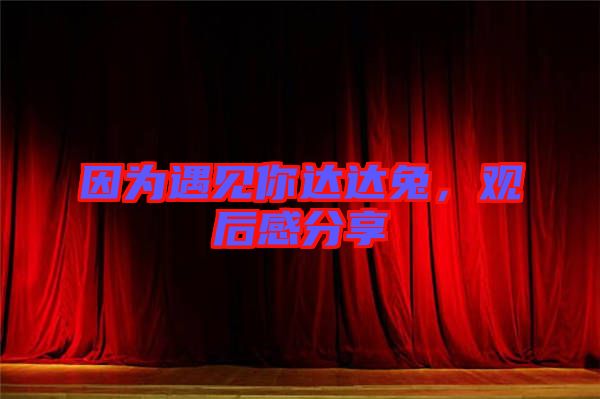 因為遇見你達(dá)達(dá)兔，觀后感分享