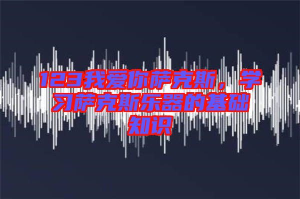 123我愛(ài)你薩克斯，學(xué)習(xí)薩克斯樂(lè)器的基礎(chǔ)知識(shí)