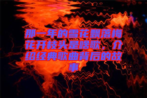 那一年的雪花飄落梅花開枝頭是啥歌，介紹經(jīng)典歌曲背后的故事