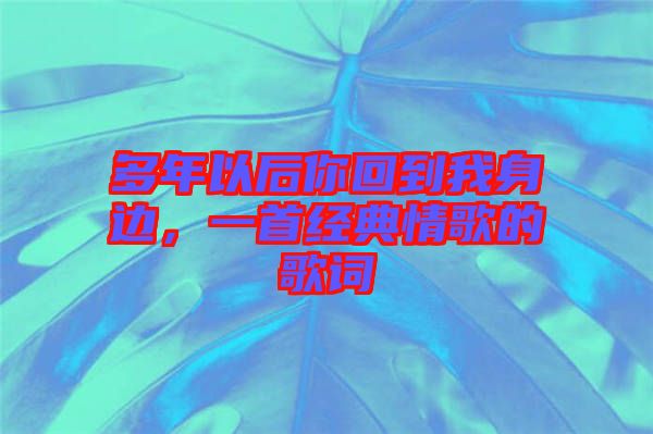 多年以后你回到我身邊，一首經(jīng)典情歌的歌詞