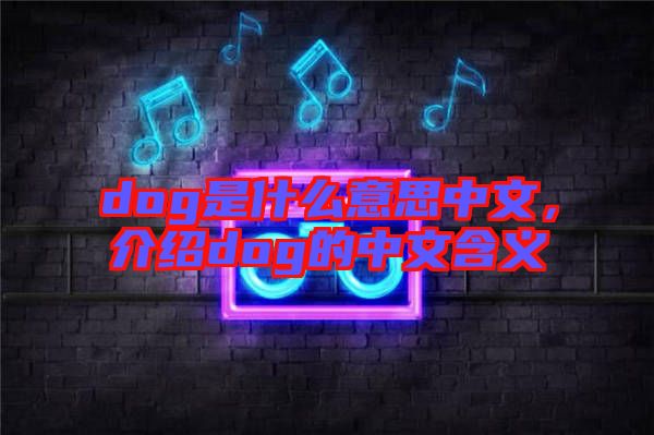 dog是什么意思中文，介紹dog的中文含義