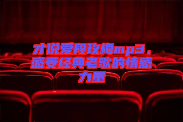 才說(shuō)愛段玫梅mp3，感受經(jīng)典老歌的情感力量