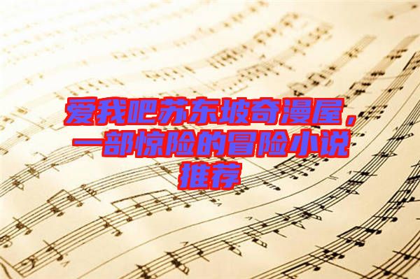 愛(ài)我吧蘇東坡奇漫屋，一部驚險(xiǎn)的冒險(xiǎn)小說(shuō)推薦