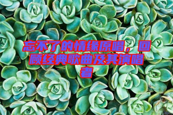 忘不了的情緣原唱，回顧經(jīng)典歌曲及其演唱者