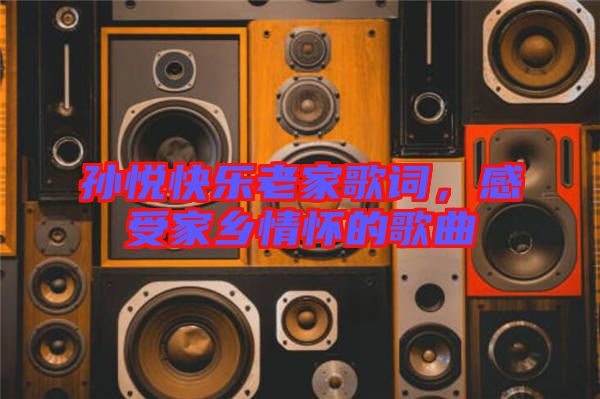 孫悅快樂(lè)老家歌詞，感受家鄉(xiāng)情懷的歌曲