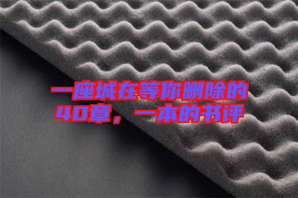 一座城在等你刪除的40章，一本的書評(píng)