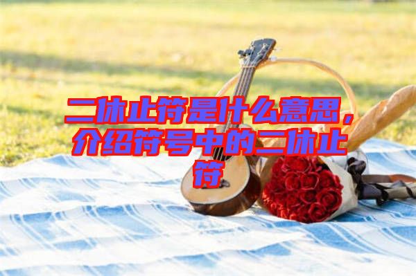 二休止符是什么意思，介紹符號中的二休止符