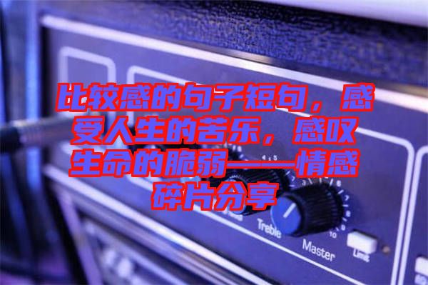 比較感的句子短句，感受人生的苦樂，感嘆生命的脆弱——情感碎片分享