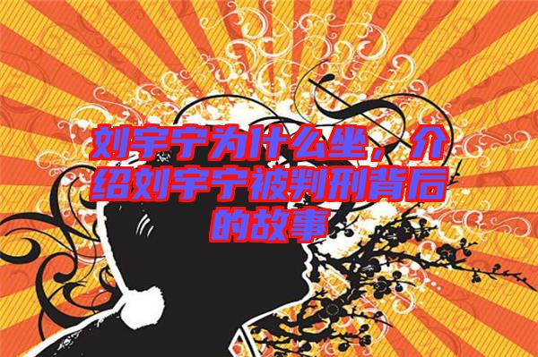 劉宇寧為什么坐，介紹劉宇寧被判刑背后的故事