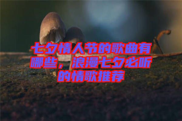 七夕情人節(jié)的歌曲有哪些，浪漫七夕必聽的情歌推薦
