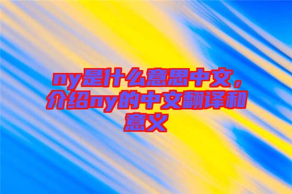 ny是什么意思中文，介紹ny的中文翻譯和意義