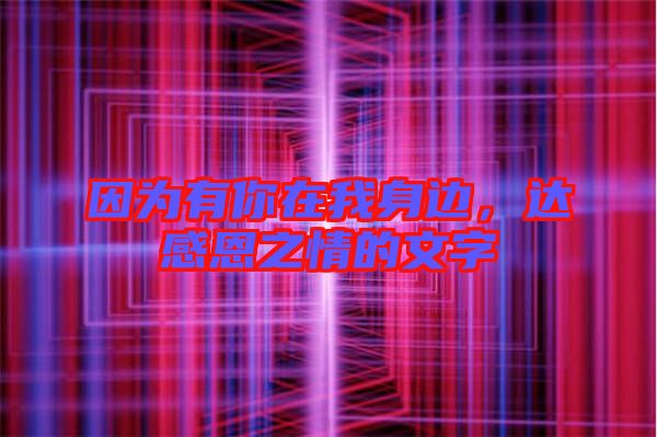 因?yàn)橛心阍谖疑磉叄_(dá)感恩之情的文字