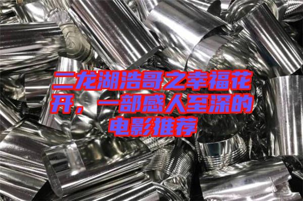 二龍湖浩哥之幸?；ㄩ_，一部感人至深的電影推薦