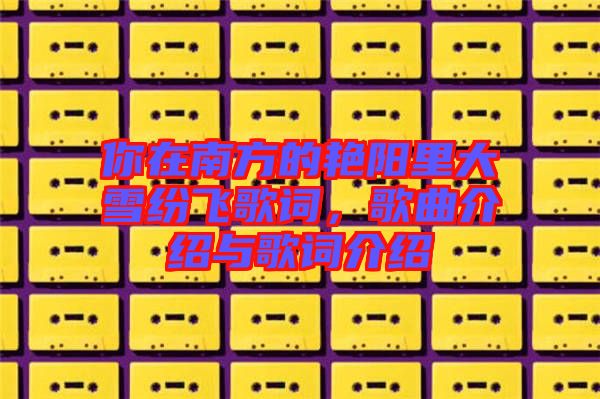 你在南方的艷陽里大雪紛飛歌詞，歌曲介紹與歌詞介紹