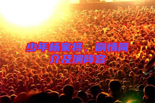 少年楊家將，劇情簡(jiǎn)介及演陣容